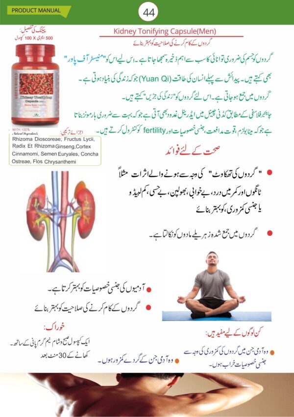 Kidney Tonifying Capsule Men 500mg Packing 100 (Rs: 40$)